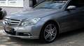 Mercedes-Benz E 500 Coupé Avantgarde 387PK Schuifdak Grau - thumbnail 26