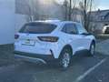 Ford Kuga Titanium 2.5FHEV 180PS Aut Weiß - thumbnail 4