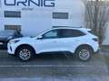 Ford Kuga Titanium 2.5FHEV 180PS Aut Weiß - thumbnail 3