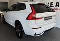 Volvo XC60 R Design 2WD RFK*PANO*VOLL-LEDER*ACC*LR-HZNG*LED* Weiß - thumbnail 5
