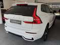 Volvo XC60 R Design 2WD RFK*PANO*VOLL-LEDER*ACC*LR-HZNG*LED* Weiß - thumbnail 9