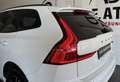 Volvo XC60 R Design 2WD RFK*PANO*VOLL-LEDER*ACC*LR-HZNG*LED* Weiß - thumbnail 6