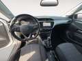 Opel Corsa F 1.2 Edition Navi+SHZ+Kam.+PDC+SpurH Weiß - thumbnail 12
