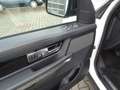 Land Rover Range Rover Sport 3,0l TDI SDV6 SE Navi, Bi-Xenon, AHK Blanc - thumbnail 17