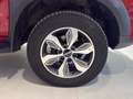 EVO Cross4 2.0 TD 136cv Doppia Cabina 4x4 Pelle Marce Ridotte Rojo - thumbnail 39