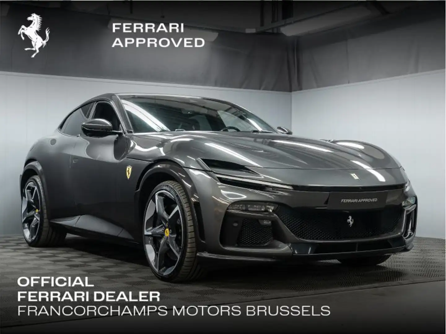Ferrari Purosangue Grijs - 1