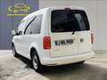 Volkswagen Caddy 2.0TDI Kombi 75kW Bianco - thumbnail 4