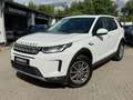Land Rover Discovery Sport S AWD+PANO+LED+RFK Blanco - thumbnail 3