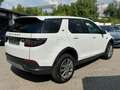 Land Rover Discovery Sport S AWD+PANO+LED+RFK Blanco - thumbnail 4