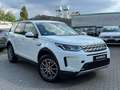Land Rover Discovery Sport S AWD+PANO+LED+RFK Blanco - thumbnail 1