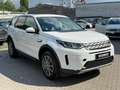 Land Rover Discovery Sport S AWD+PANO+LED+RFK Blanco - thumbnail 6