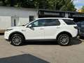 Land Rover Discovery Sport S AWD+PANO+LED+RFK Blanco - thumbnail 7