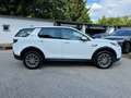 Land Rover Discovery Sport S AWD+PANO+LED+RFK Blanco - thumbnail 8