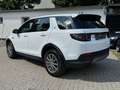 Land Rover Discovery Sport S AWD+PANO+LED+RFK Blanco - thumbnail 5