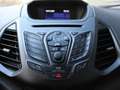 Ford EcoSport 1.0 EcoBoost 125pk Trend | Parkeersensoren achter Gris - thumbnail 20