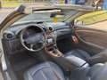Mercedes-Benz CLK 320 Cabrio Elegance - thumbnail 8