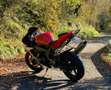 Yamaha YZF-R1 RN09 iscritta ASI Rojo - thumbnail 4
