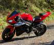 Yamaha YZF-R1 RN09 iscritta ASI Rojo - thumbnail 2