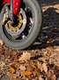Yamaha YZF-R1 RN09 iscritta ASI Rojo - thumbnail 10