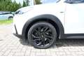Hyundai TUCSON 2.0 *N-Line* 4WD Aut Leder Navi LED 19Alu Weiß - thumbnail 13