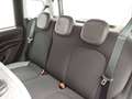 Fiat Panda CROSS 1.0 GSE FIREFLY HYBRID 70CV 5POSTI PROMO! Nero - thumbnail 11
