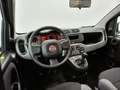 Fiat Panda CROSS 1.0 GSE FIREFLY HYBRID 70CV 5POSTI PROMO! Nero - thumbnail 6