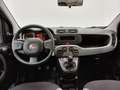 Fiat Panda CROSS 1.0 GSE FIREFLY HYBRID 70CV 5POSTI PROMO! Nero - thumbnail 5