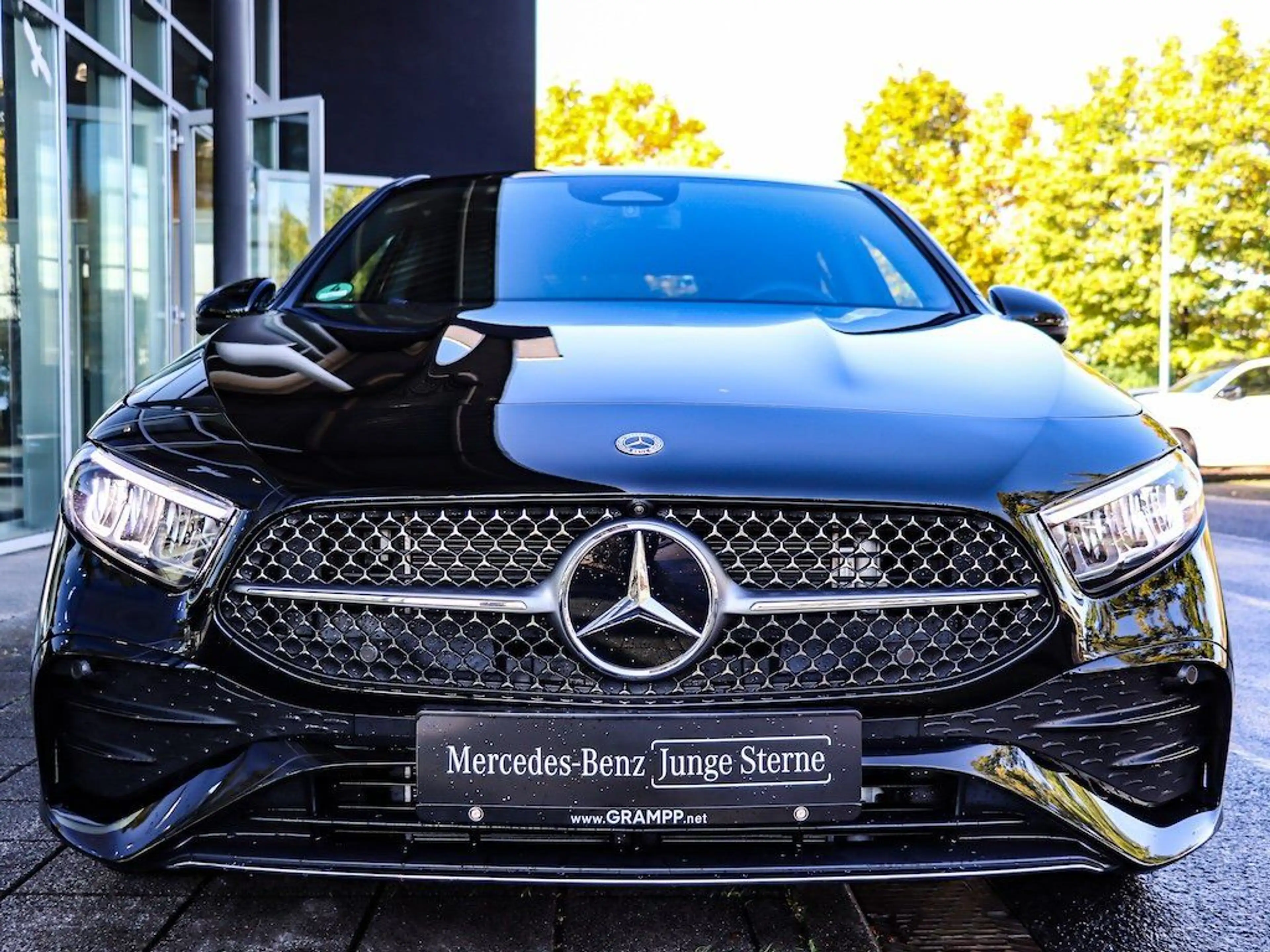 Mercedes-Benz A 250 e Edition AMG/Distronic/LED/360Grad-Kamera — photo 10