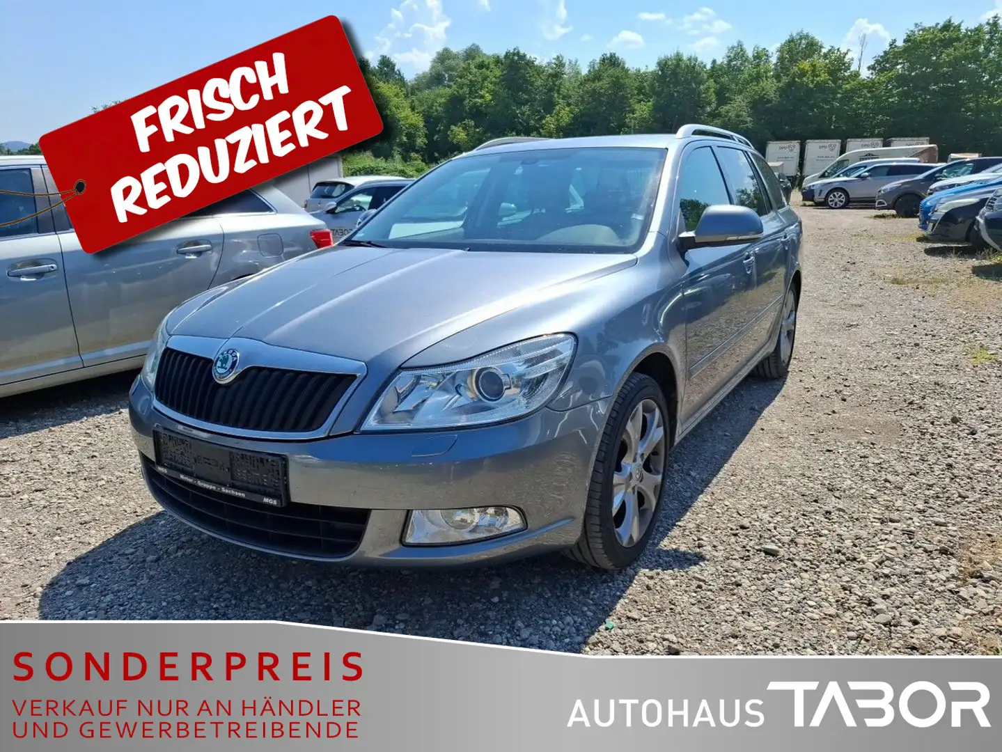 Skoda Octavia Combi 1.4 TSI Elegance Xenon SD Navi MFL Grau - 2