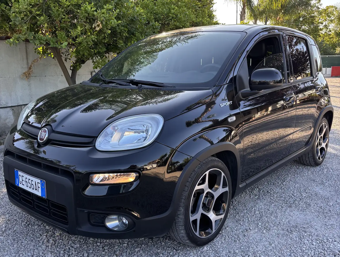 Fiat Panda 1.0 hybrid Sport s&s 70cv - 1