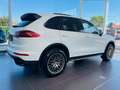 Porsche Cayenne 3.6 Bi-Turbo V6 S ** GARANTIE + TOIT PANO + FULL** Blanc - thumbnail 5