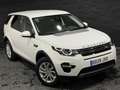 Land Rover Discovery Sport 2.0TD4 HSE Luxury 4x4 Aut. 150 Blanco - thumbnail 2