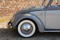 Volkswagen Kever Beetle 151 Convertible by Karmann Sought after Bee Gris - thumbnail 29