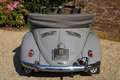 Volkswagen Kever Beetle 151 Convertible by Karmann Sought after Bee Gris - thumbnail 20