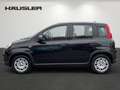 Fiat Panda Hybrid 1.0 GSE Klima, Isofix, Parksens., Tempomat Noir - thumbnail 6