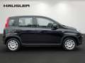 Fiat Panda Hybrid 1.0 GSE Klima, Isofix, Parksens., Tempomat Noir - thumbnail 3