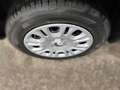 Fiat Panda Hybrid 1.0 GSE Klima, Isofix, Parksens., Tempomat Noir - thumbnail 8