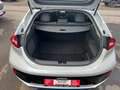 Hyundai IONIQ Ioniq Style Hybrid Silber - thumbnail 19
