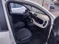 Fiat Panda Panda III 2012 1.2 Easy 69cv E6 Beige - thumbnail 10