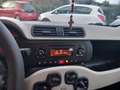 Fiat Panda Panda III 2012 1.2 Easy 69cv E6 Beige - thumbnail 14