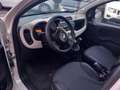Fiat Panda Panda III 2012 1.2 Easy 69cv E6 Beige - thumbnail 7