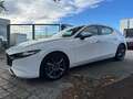 Mazda 3 Homura*LED*APPLECAR*ACC*ALLTWETTER Weiß - thumbnail 7