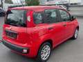 Fiat Panda Easy, ESP, KLIMA; ETC: Červená - thumbnail 3