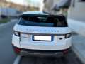 Land Rover Range Rover Evoque 5p 2.0 td4 150cv Weiß - thumbnail 4