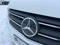 Mercedes-Benz Vito Kasten 119 CDI 4x4 lang LED*Distr*AHK*Stand Blanc - thumbnail 12