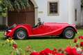 Morgan Morgan plus 8 Rojo - thumbnail 7