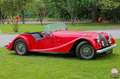 Morgan Morgan plus 8 Rojo - thumbnail 4
