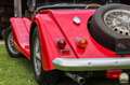Morgan Morgan plus 8 Rojo - thumbnail 15
