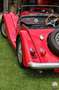 Morgan Morgan plus 8 Rojo - thumbnail 14