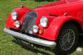 Morgan Morgan plus 8 aus langjährigem Besitz Rouge - thumbnail 9